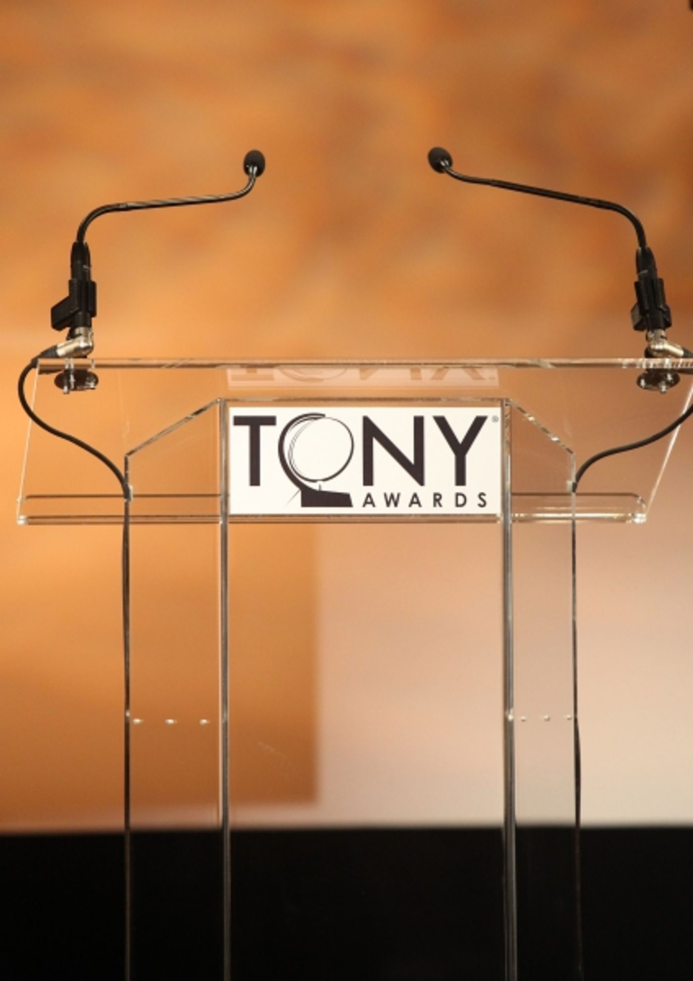 Photo Coverage: 2011 Tony Award Nominations Announcement  Image