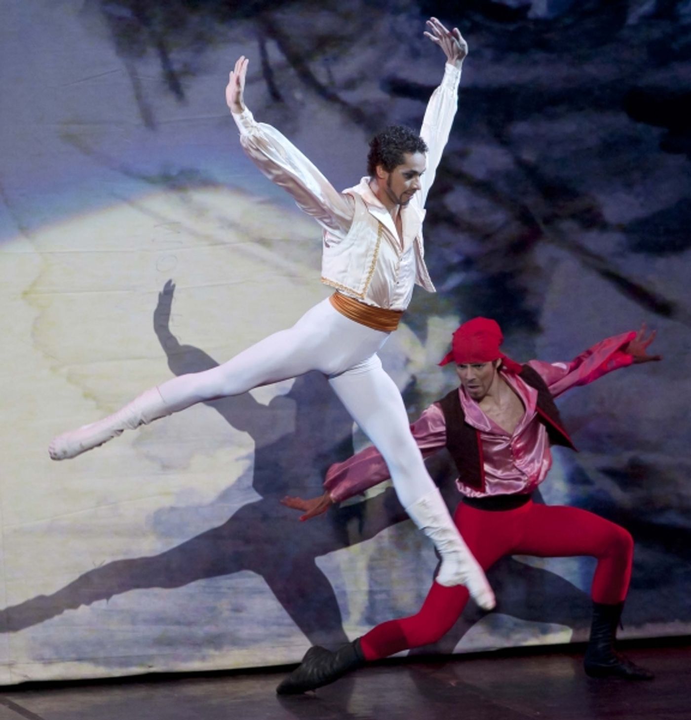 Photo Flash: 'Big Suite of Dom Quixote Ballet' Brasilia Performance  Image