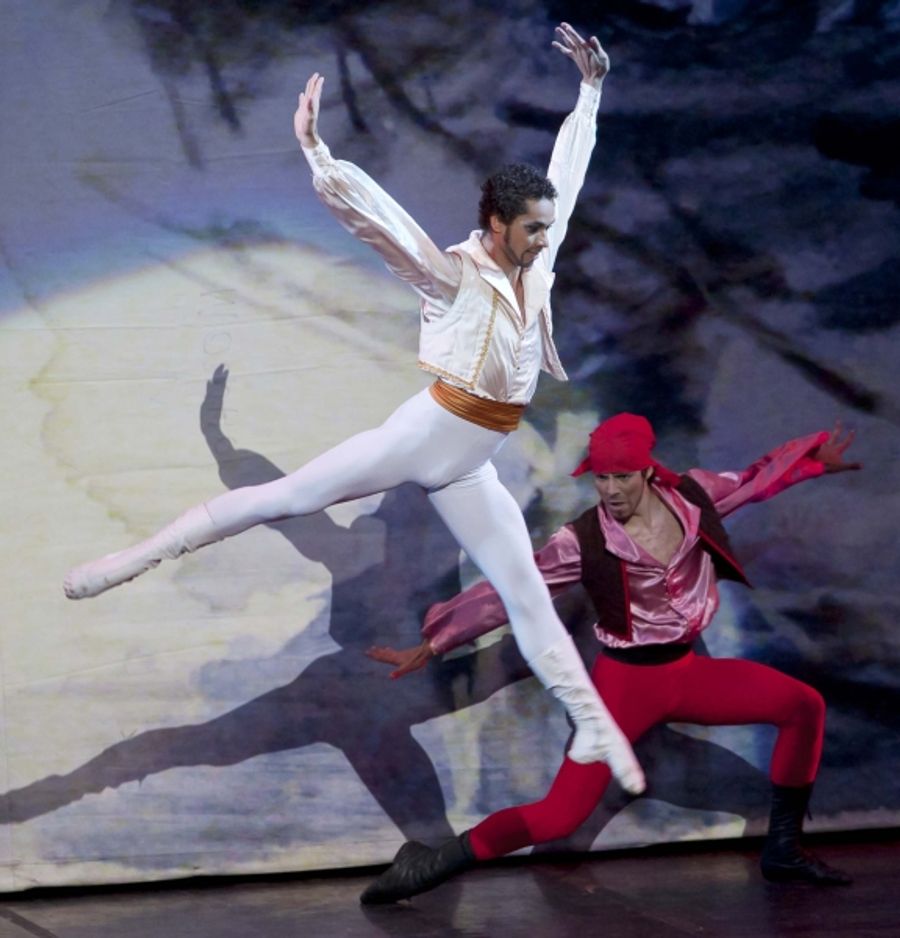 Photo Flash: 'Big Suite of Dom Quixote Ballet' Brasilia Performance Image