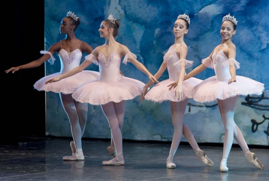 Photo Flash: 'Big Suite of Dom Quixote Ballet' Brasilia Performance Image