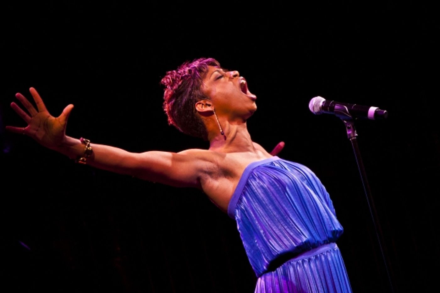 Photo Coverage: Celebs Celebrate 2011 MTC Spring Gala  Image