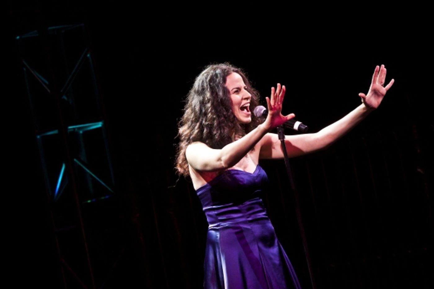 Photo Coverage: Celebs Celebrate 2011 MTC Spring Gala  Image