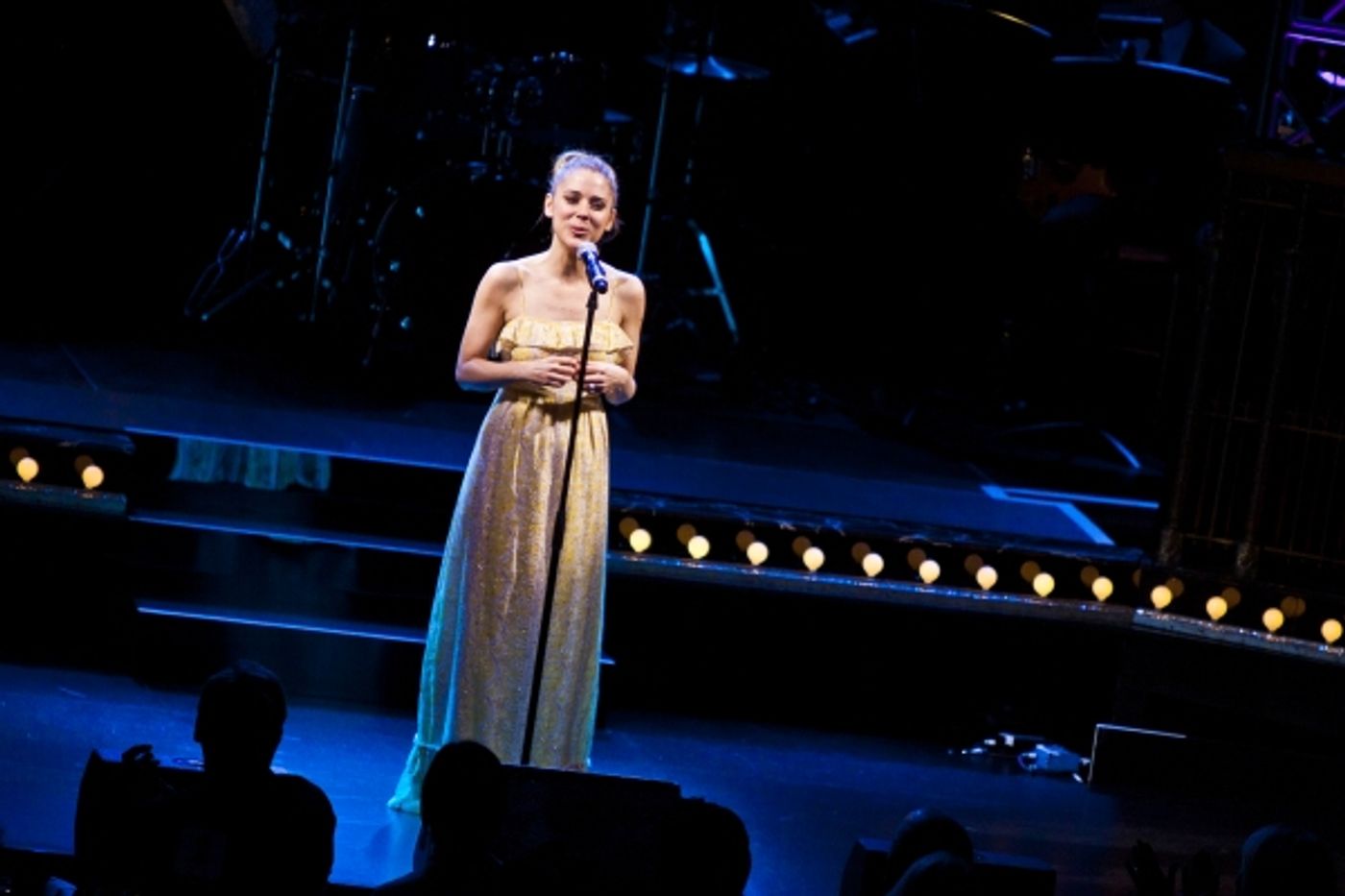 Photo Coverage: Celebs Celebrate 2011 MTC Spring Gala  Image