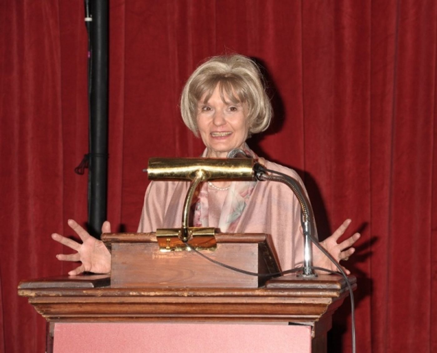 Photo Flash: Feldshuh, Prince, et al. at 2011 Theatre Museum Awards  Image