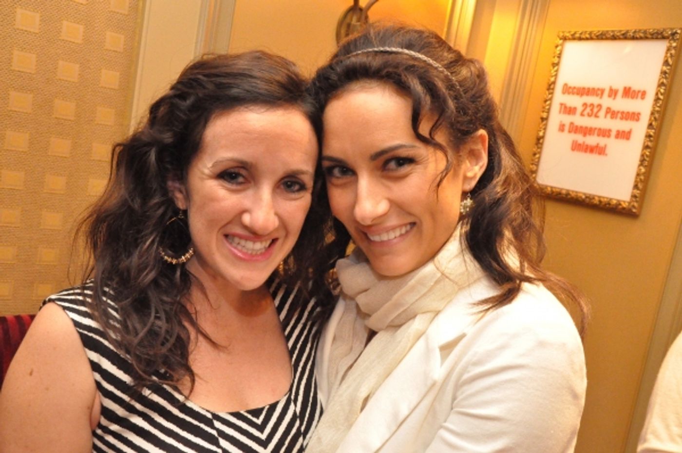 Photo Flash: Laura Benanti Brings LET ME ENTERTAIN YOU to Feinstein's  Image