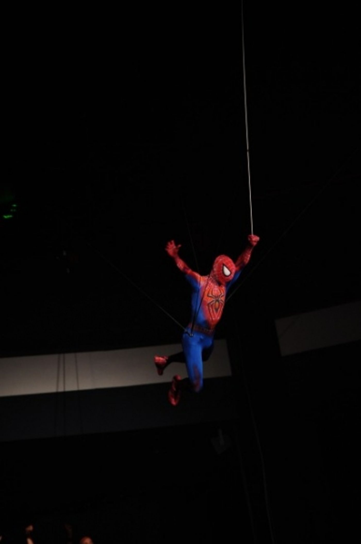 Photo Coverage: SPIDER-MAN Swings Onto AMERICAN IDOL Finale!  Image