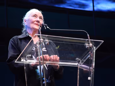 Rosemary Harris Photo