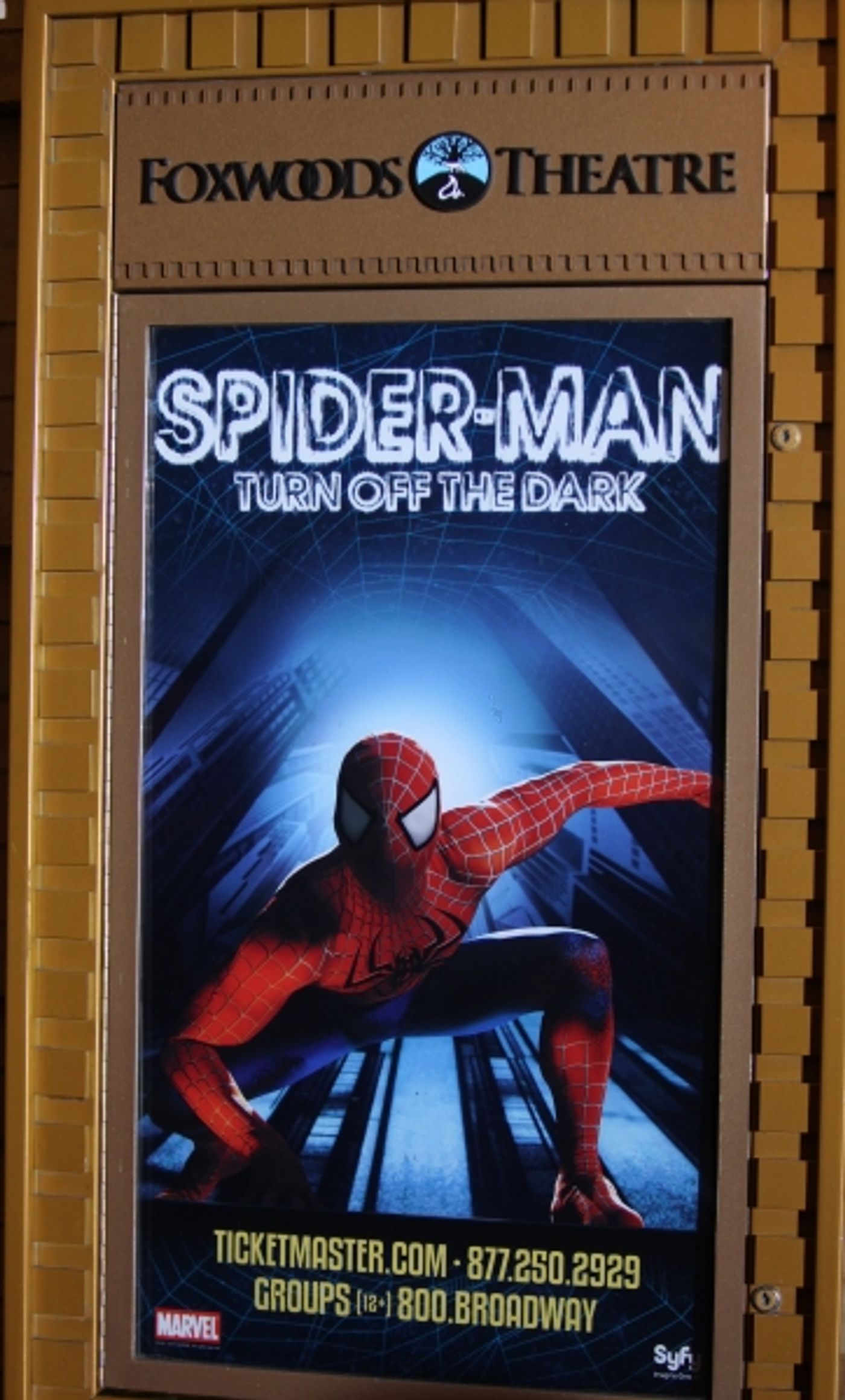 Photo Coverage: SPIDER-MAN: TURN OFF THE DARK Opening Night Curtain Call  Image