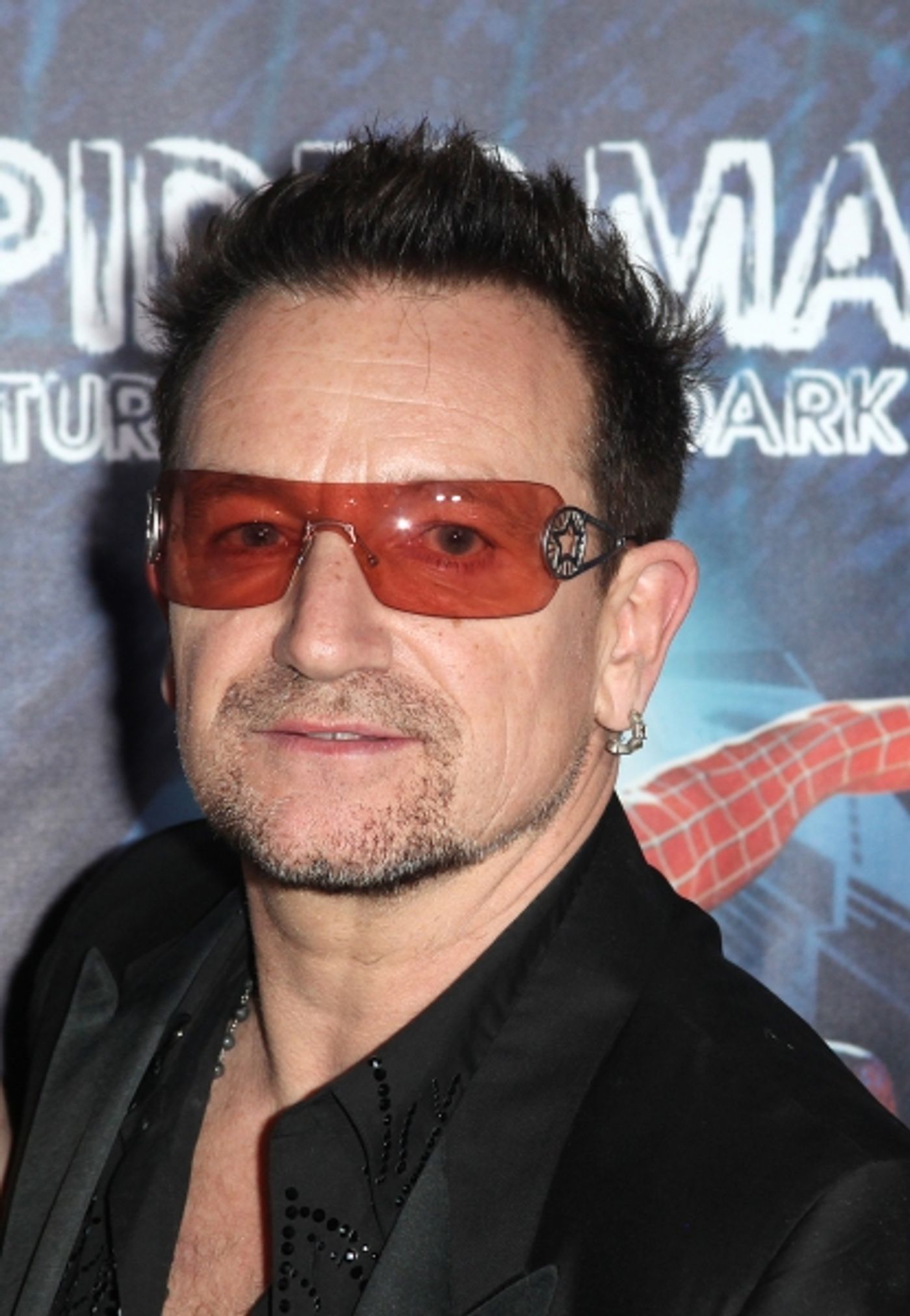 Photo Coverage: SPIDER-MAN: TURN OFF THE DARK Opening Night Party!  Image