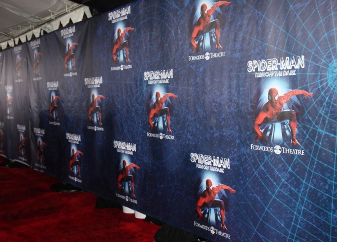 Photo Coverage: SPIDER-MAN: TURN OFF THE DARK Opening Night Party!  Image