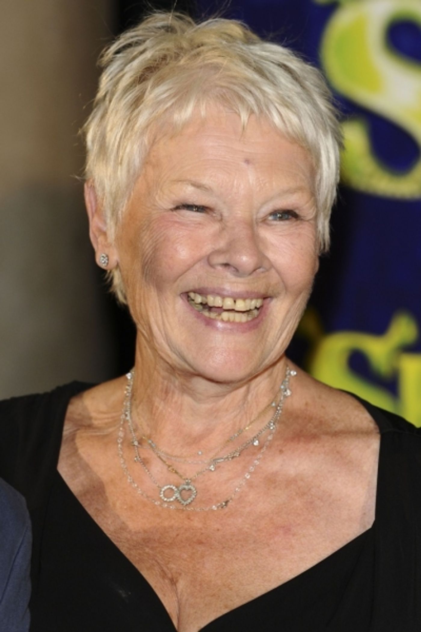 Photo Flash: SHREK Opens in the West End!  Image