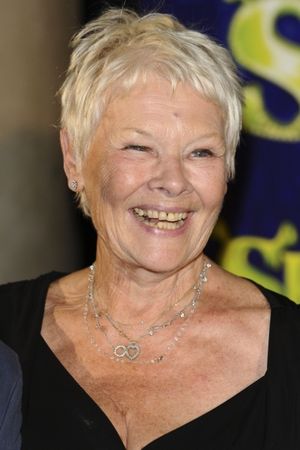 Dame Judi Dench @ BroadwayWorld Dame Judi Dench Photo