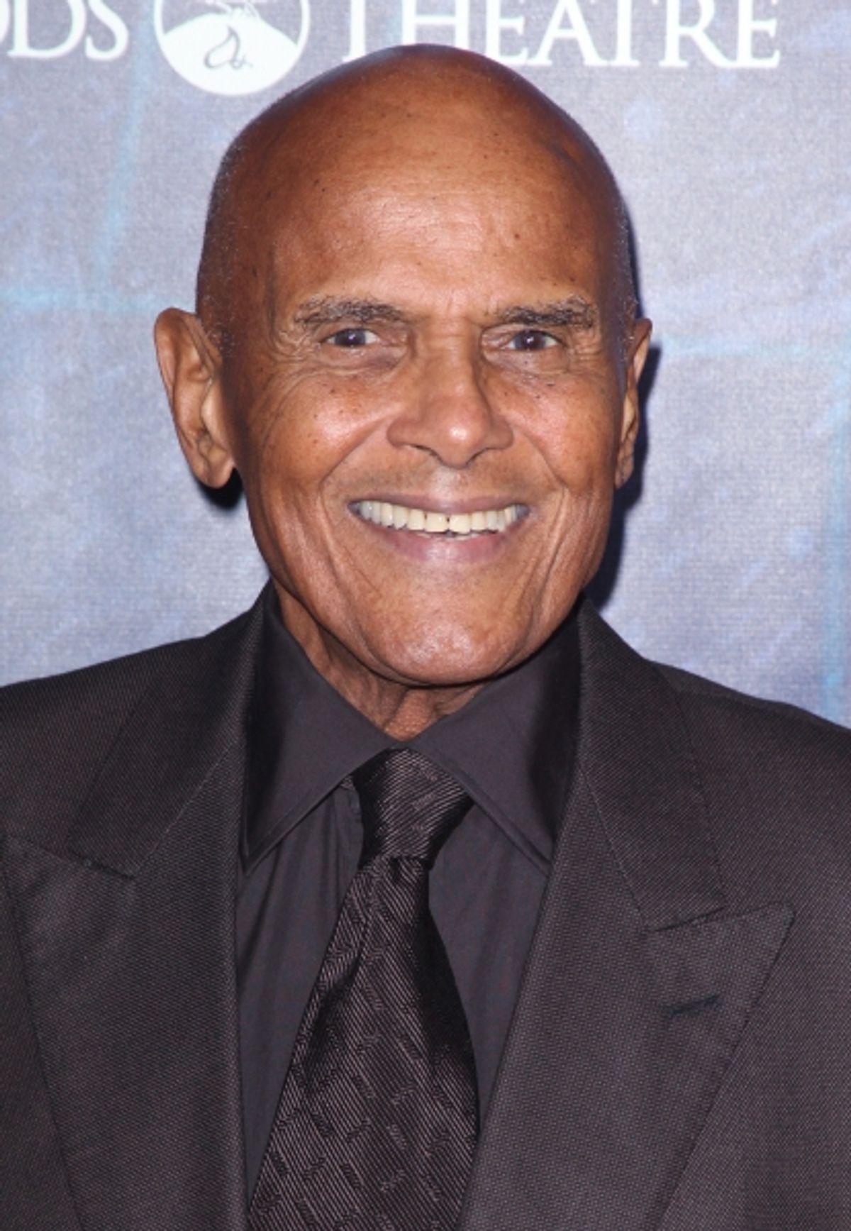 Harry Belafonte attending the Opening Night Performance of 'Spider-Man Turn Off The Dark' at the Foxwoods Theatre in New York City. at 