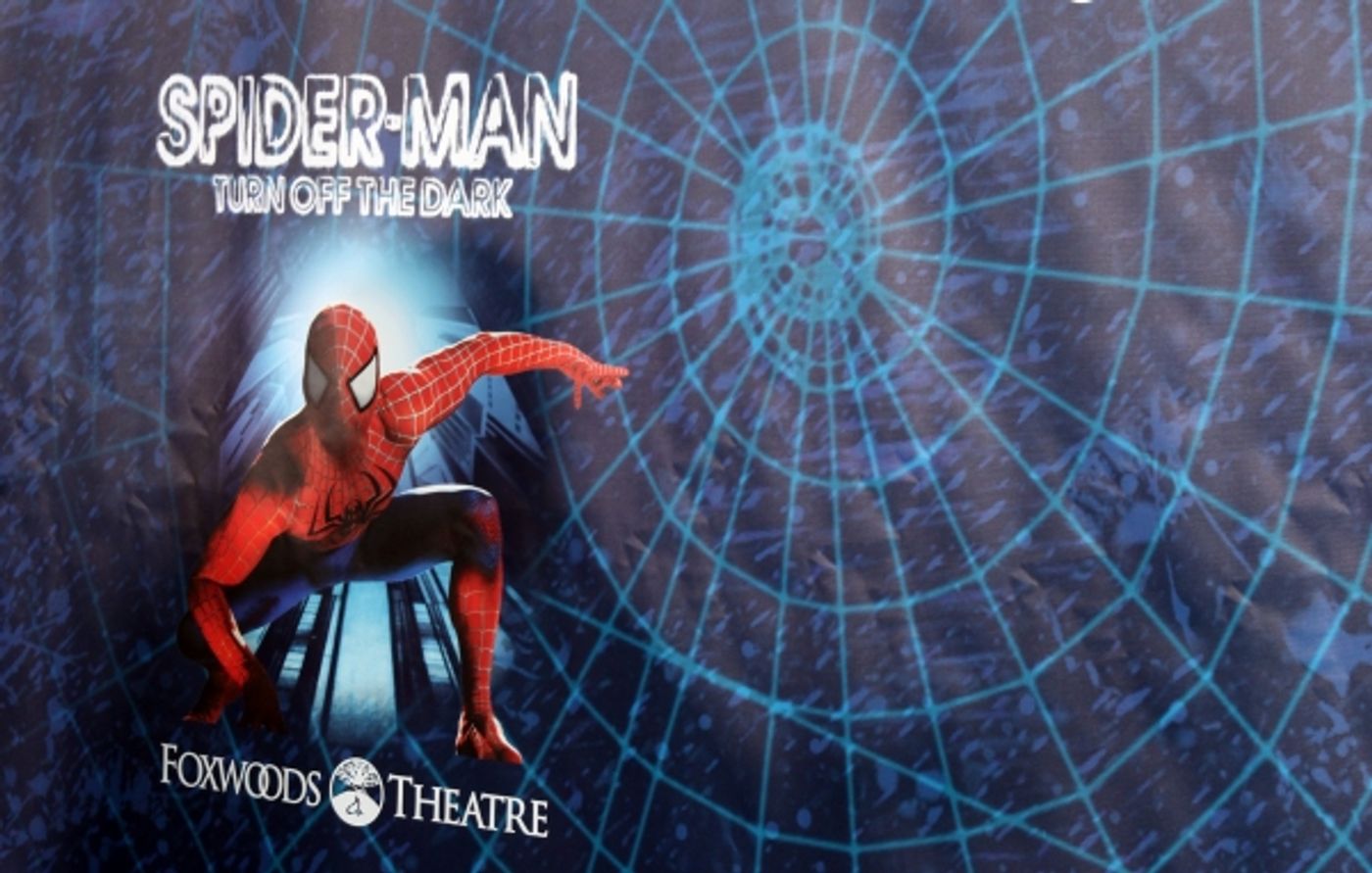 Photo Coverage: SPIDER-MAN Starry Arrivals - Part 1  Image