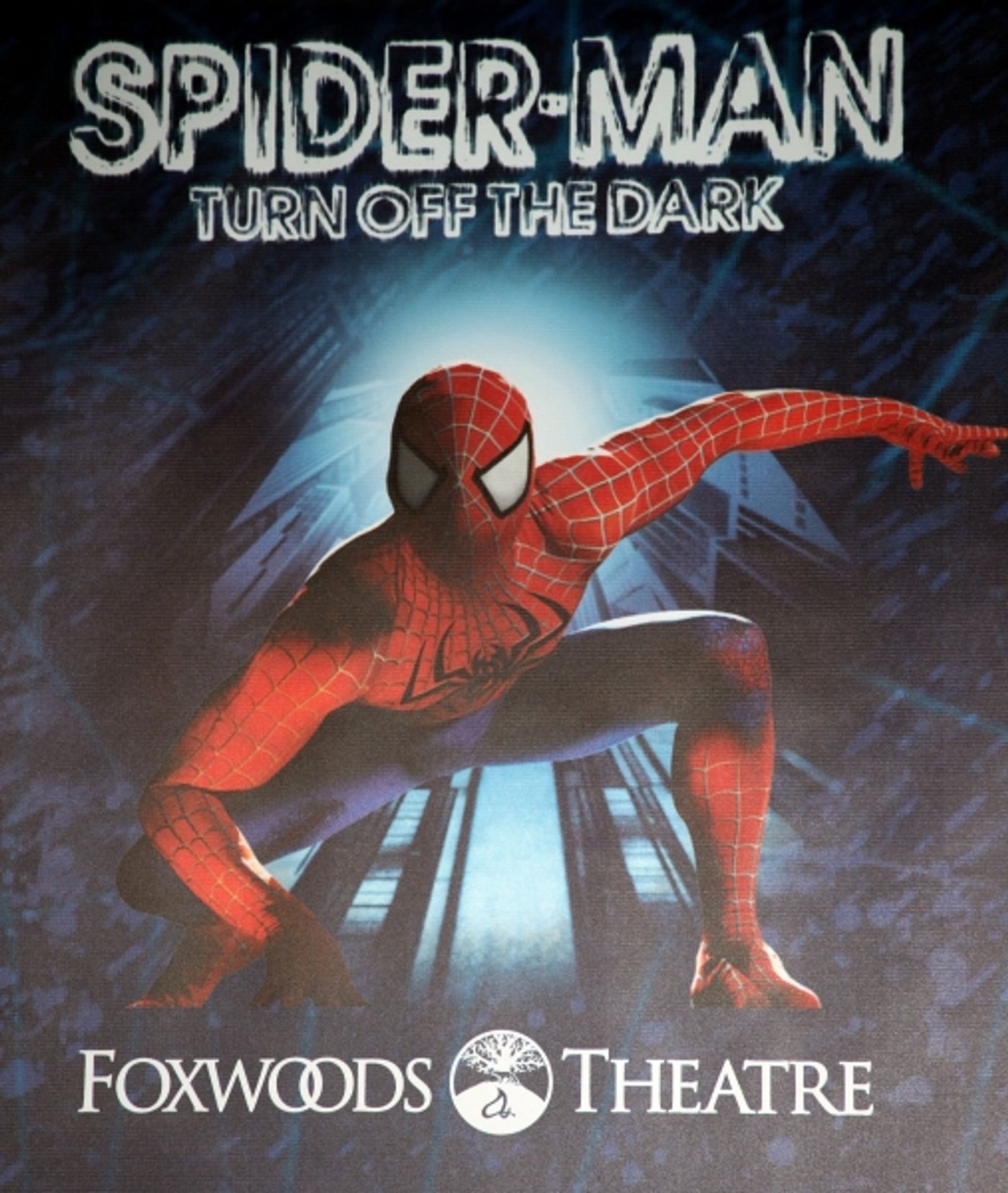 Photo Coverage: SPIDER-MAN Starry Arrivals - Part 1  Image