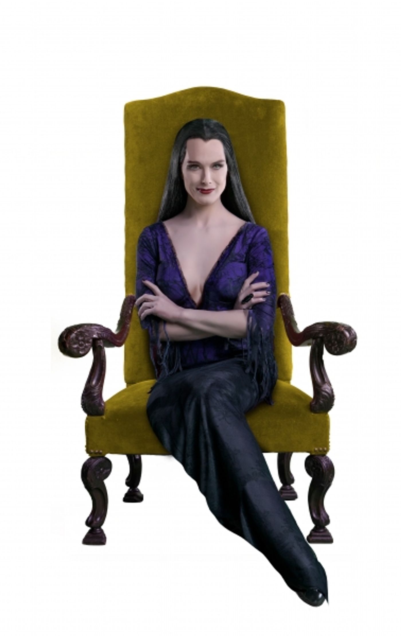Photo Flash: First Look at Brooke Shields as THE ADDAMS FAMILY's Morticia!  Image