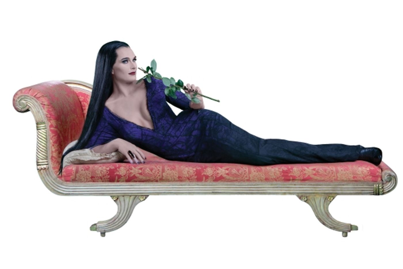 Photo Flash: First Look at Brooke Shields as THE ADDAMS FAMILY's Morticia!  Image