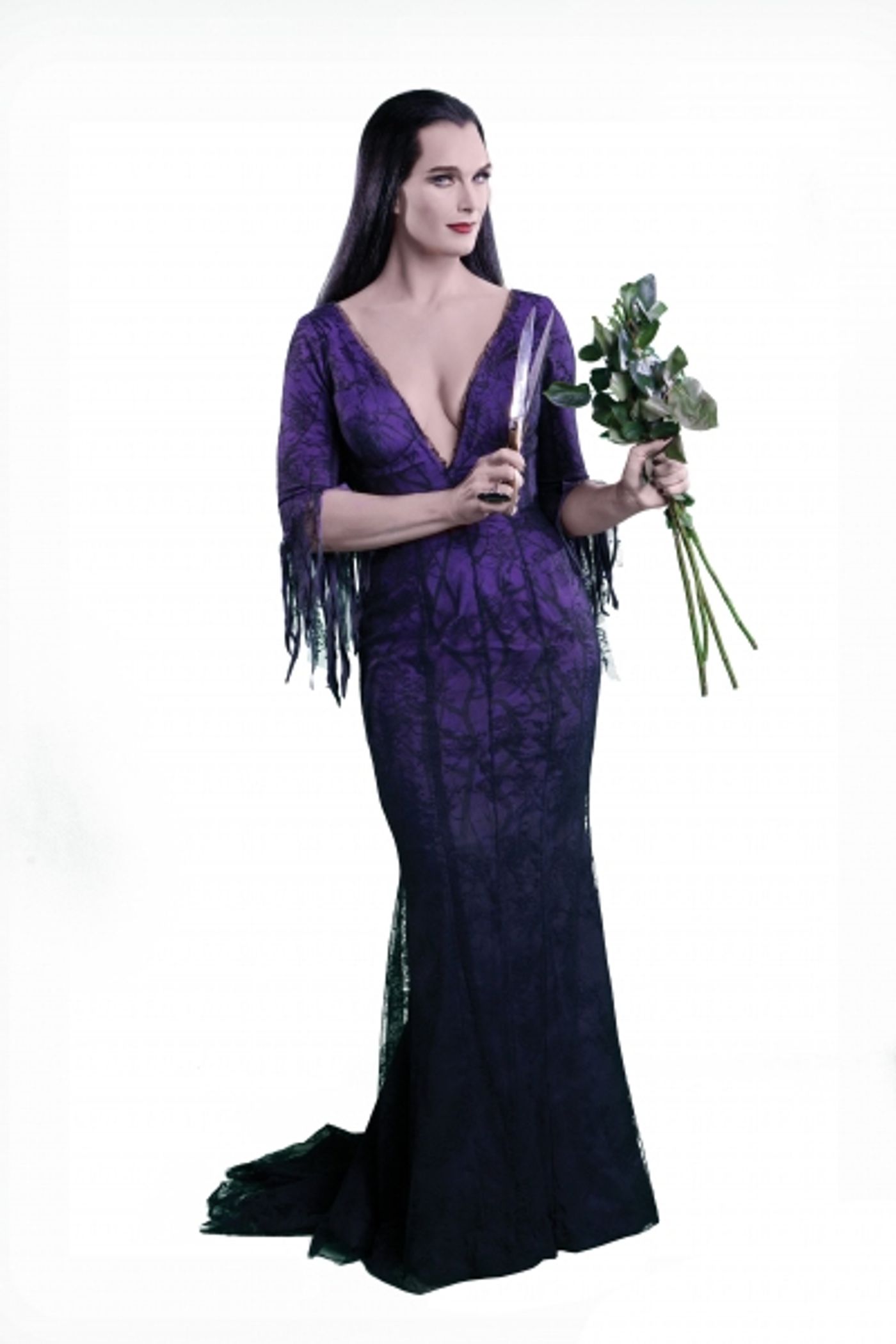 Photo Flash: First Look at Brooke Shields as THE ADDAMS FAMILY's Morticia!  Image