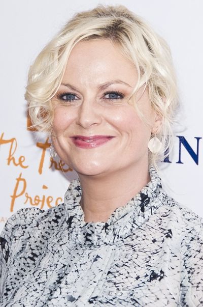 Amy Poehler Photo