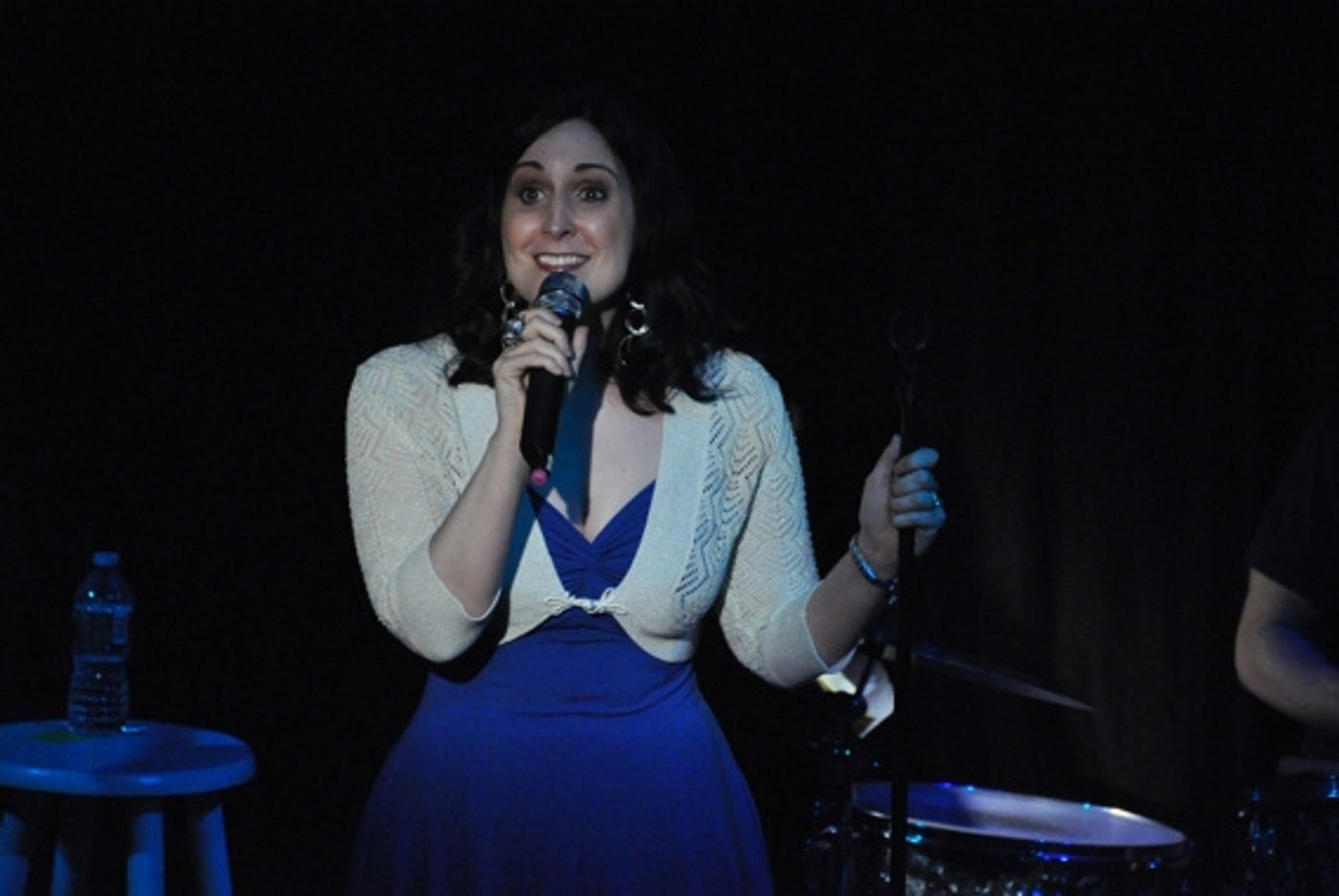 Photo Coverage: Chase, Andreas et al. Sing for RAINN Benefit  Image