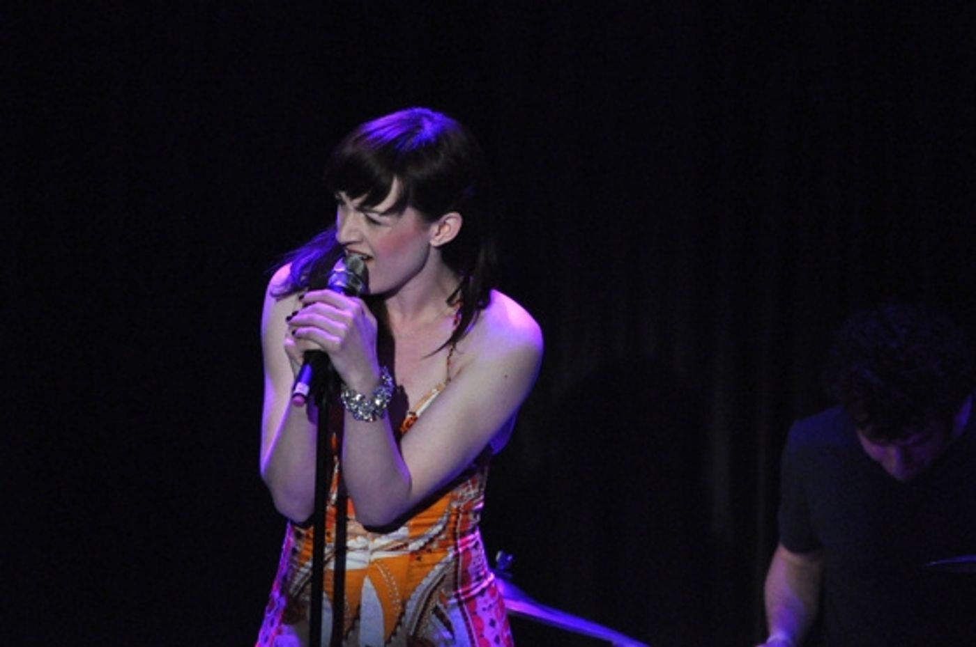 Photo Coverage: Chase, Andreas et al. Sing for RAINN Benefit  Image