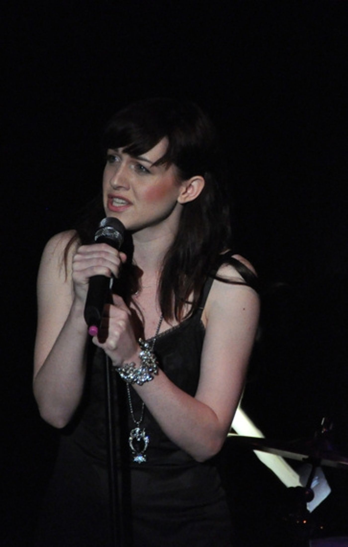 Photo Coverage: Chase, Andreas et al. Sing for RAINN Benefit  Image