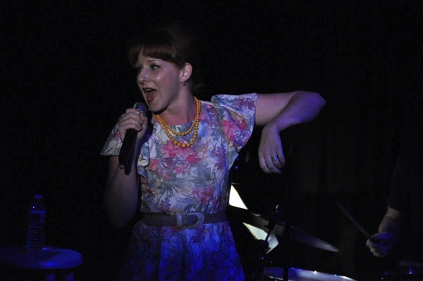 Photo Coverage: Chase, Andreas et al. Sing for RAINN Benefit  Image