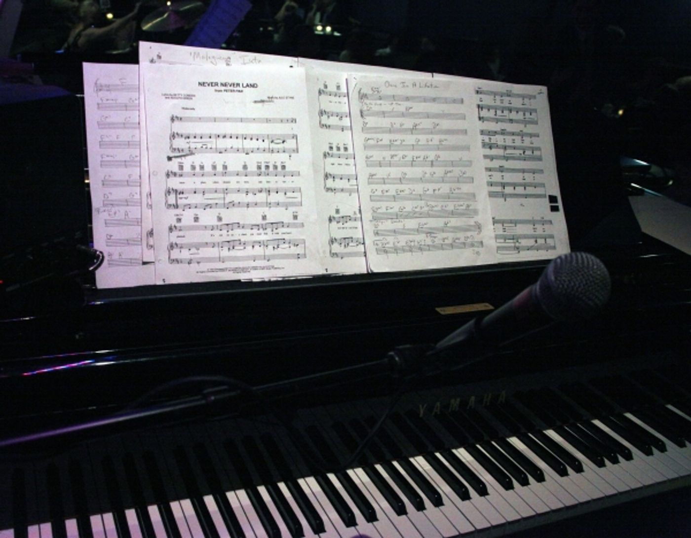 Photo Coverage: Joey Infante Performs 'Babalu' at The Metropolitan Room Photo Coverage: Joey Infante Performs 'Babalu' at The Metropolitan Room Image