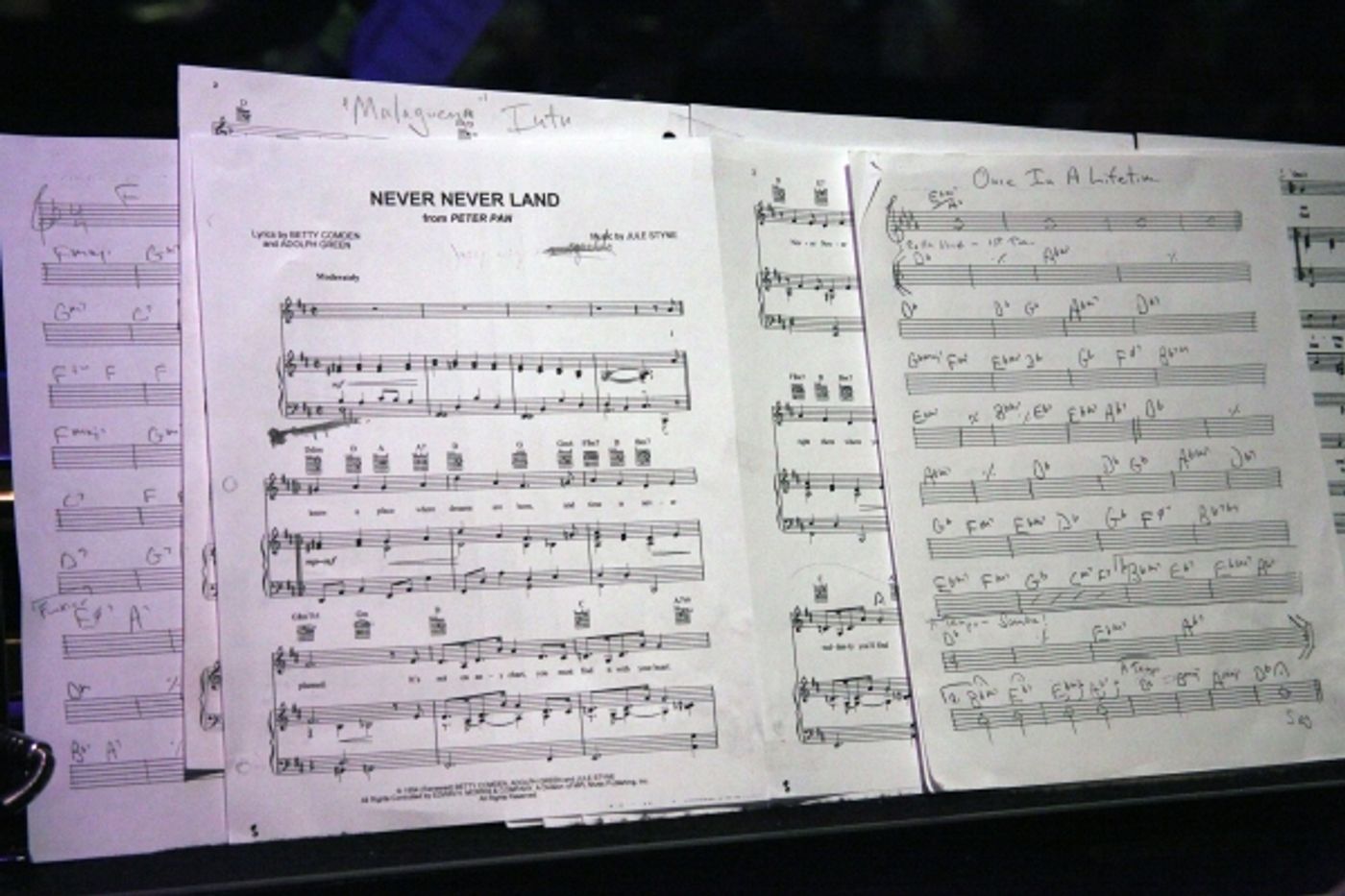 Photo Coverage: Joey Infante Performs 'Babalu' at The Metropolitan Room Photo Coverage: Joey Infante Performs 'Babalu' at The Metropolitan Room Image