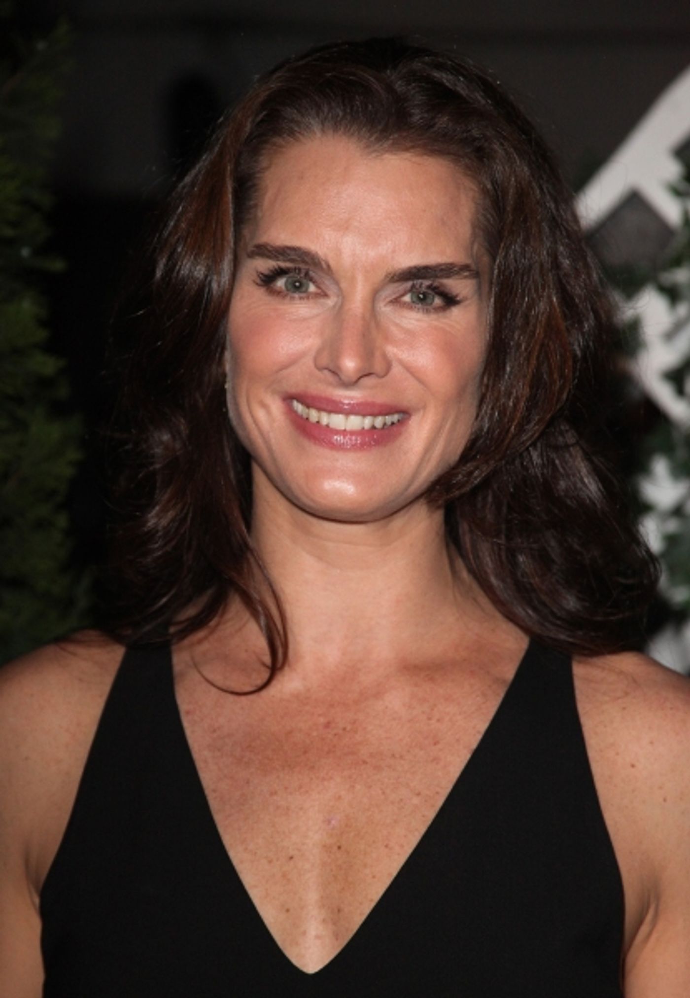 Photo Coverage: THE ADDAMS FAMILY Welcomes Brooke Shields - After Party  Image