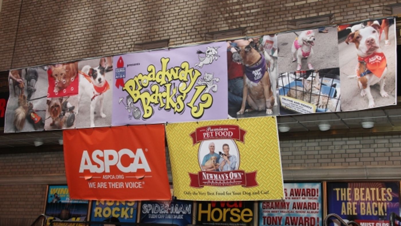 Photo Coverage: Broadway Barks 13th Annual Adopt-A-Thon Presentation  Image