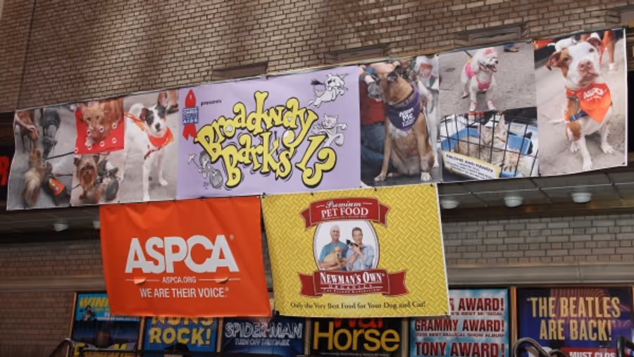Photo Coverage: Broadway Barks 13th Annual Adopt-A-Thon Presentation Image