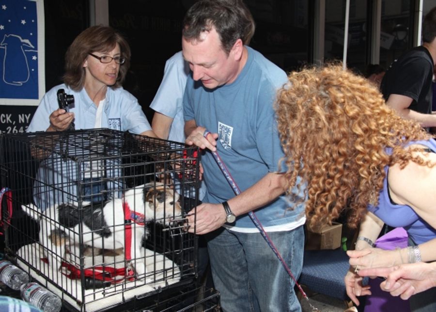 Photo Coverage: Broadway Barks 13th Annual Adopt-A-Thon Presentation Image