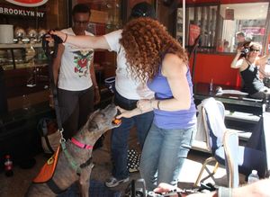 Bernadette Peters attending the Presentation for Broadway Barks Lucky 13th Annual Adopt-a-thon in New York City. @ BroadwayWorld Bernadette Peters attending the Presentation for Broadway Barks Lucky 13th Annual Ado Photo