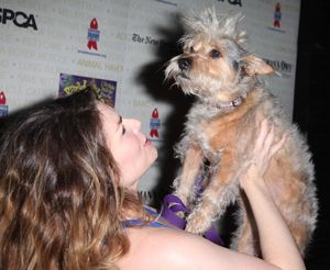 Heidi Blickenstaff Backstage at Broadway Barks Lucky 13th Annual Adopt-a-thon in New York City. @ BroadwayWorld Heidi Blickenstaff Backstage at Broadway Barks Lucky 13th Annual Adopt-a-thon in New Photo