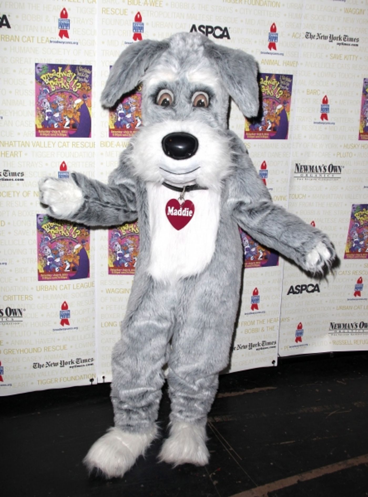 Photo Coverage: Backstage at Broadway Barks 13th Annual Adopt-A-Thon (Part One)  Image