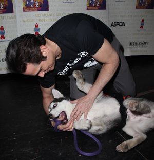 Yul Vazquez Backstage at Broadway Barks Lucky 13th Annual Adopt-a-thon  in New York C Photo