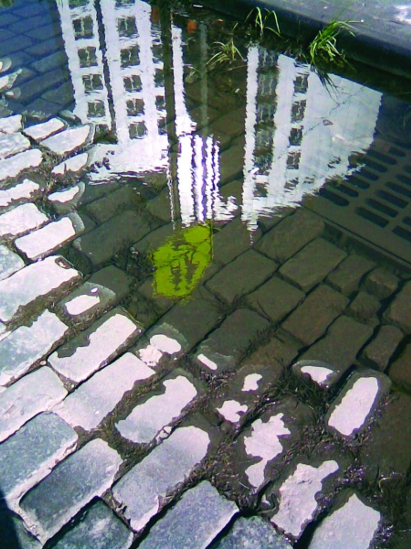 Photo Flash: Sneak Peek at JOEL GREY / A NEW YORK LIFE Exhibition!  Image