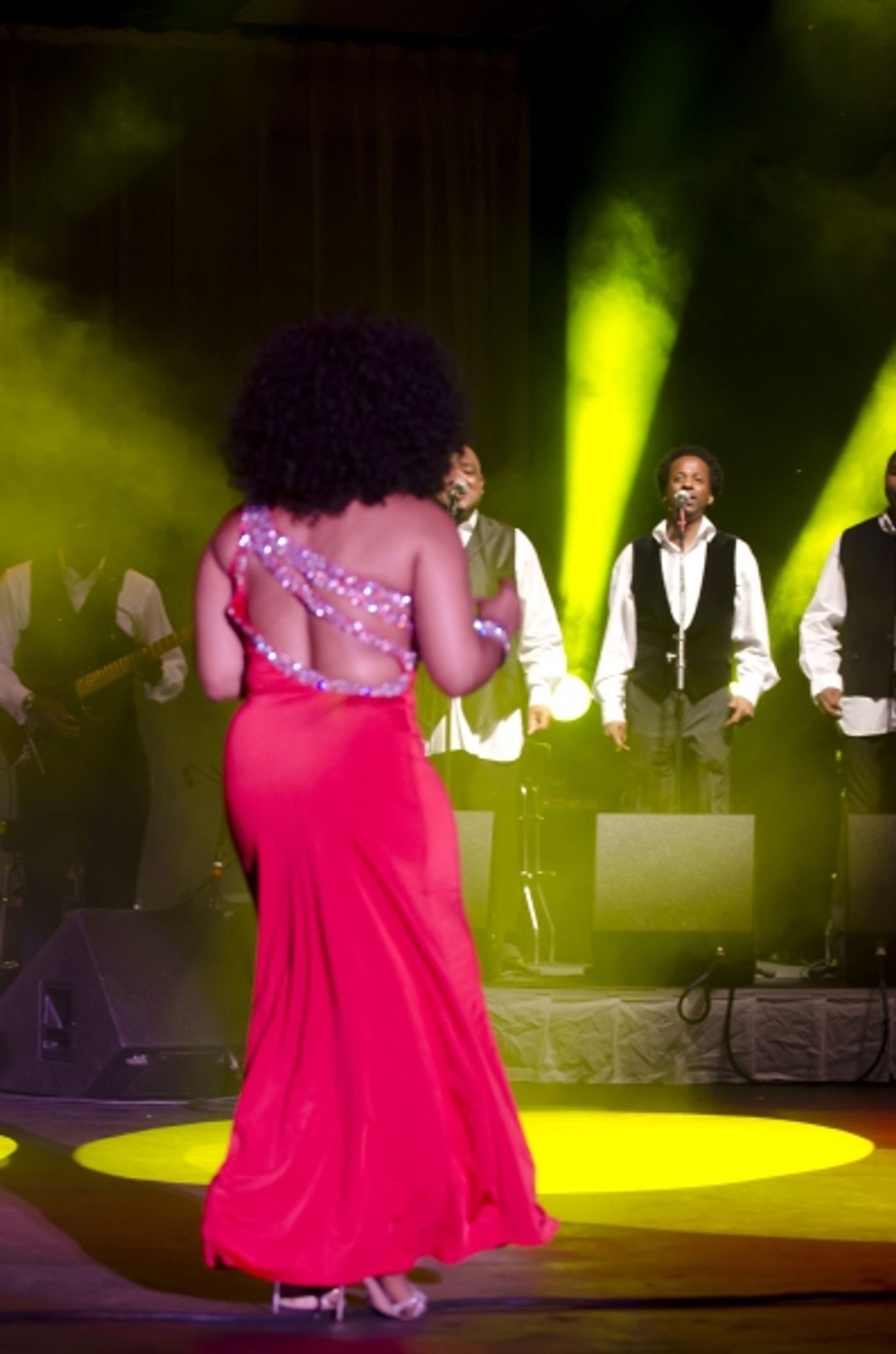 Photo Flash: Stephanie Mills Live in Philadelphia  Image