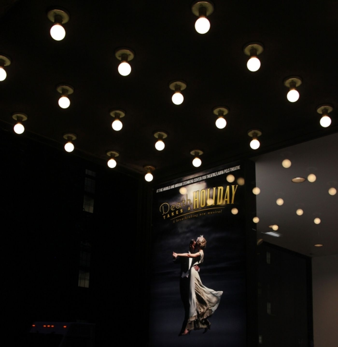 Photo Coverage: Roundabout's DEATH TAKES A HOLIDAY Opens Off-Broadway!  Image