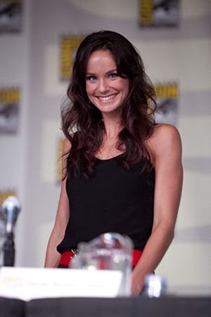 Sarah Wayne Callies Photo