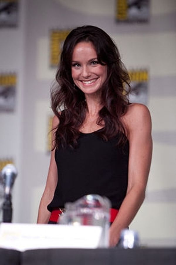 Sarah Wayne Callies Photo