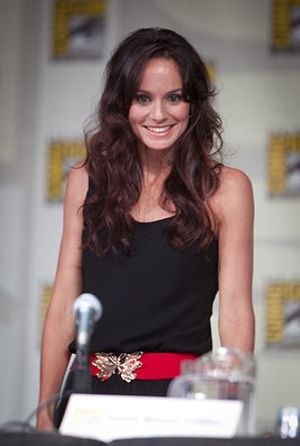 Sarah Wayne Callies Photo