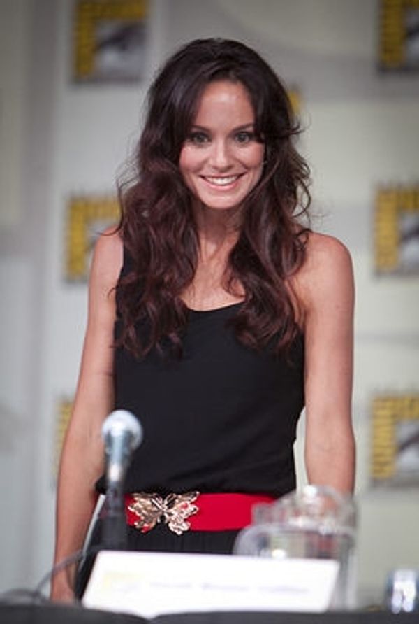 Sarah Wayne Callies Photo