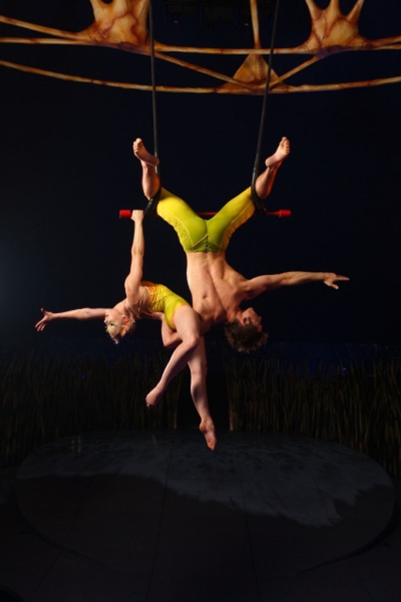 Photo Flash: Cirque du Soleil's TOTEM, Coming to San Francisco!  Image