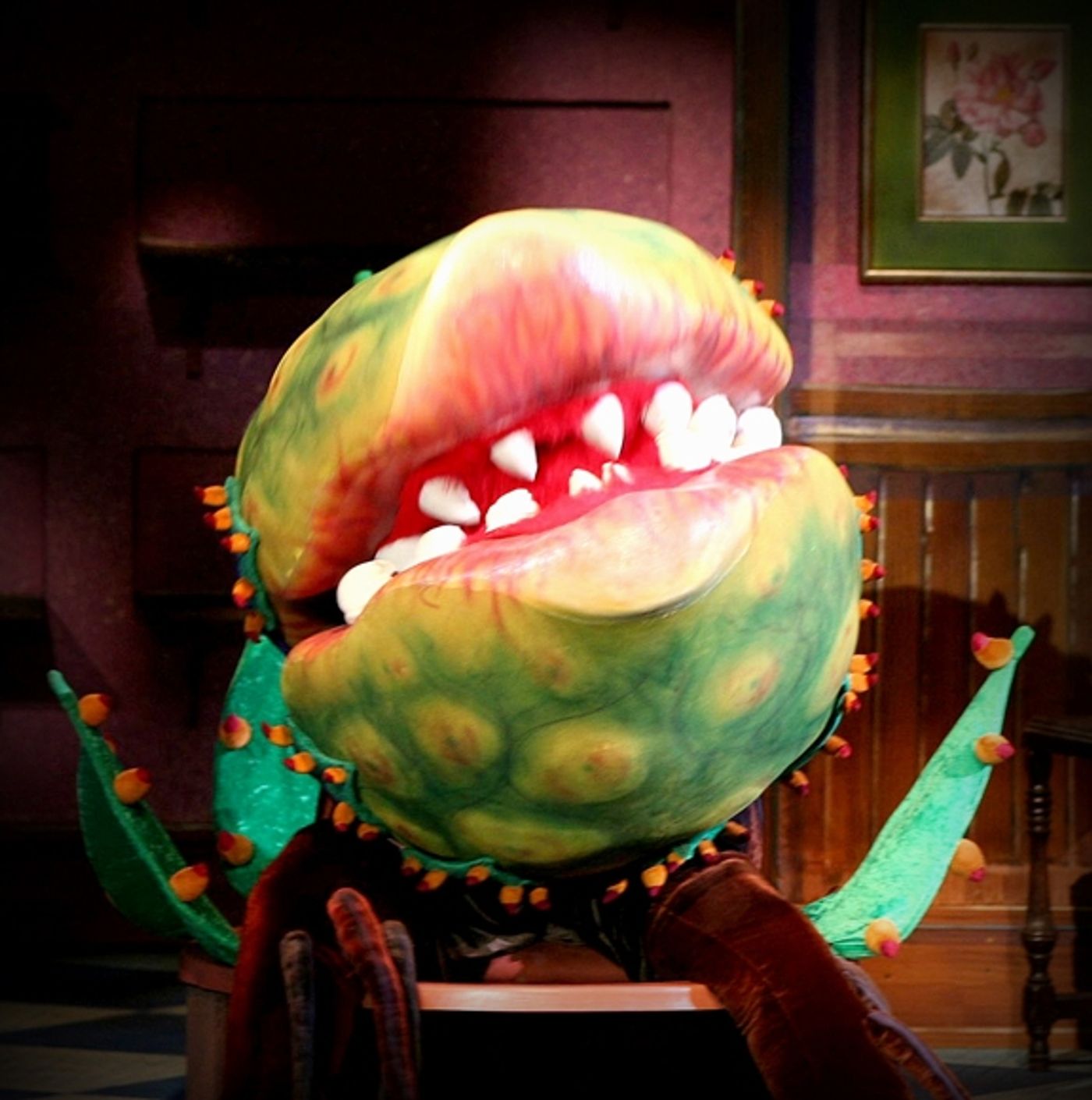 Photo Flash: Production Shots from LITTLE SHOP OF HORRORS at the Muny!  Image