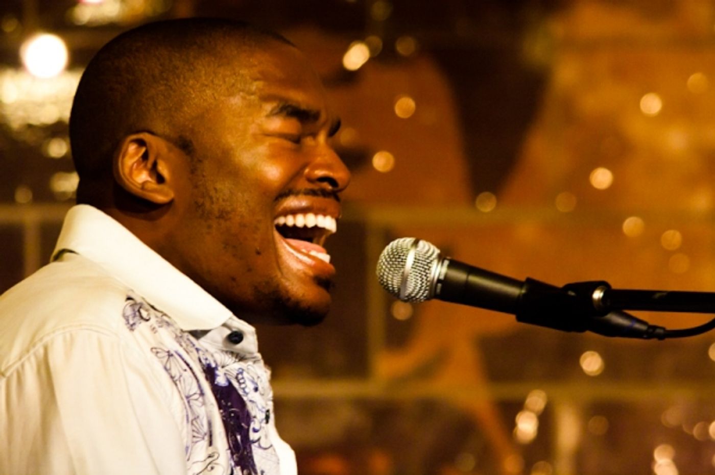 Photo Flash: NN Productions' Broadway Rhythm & Booze  Image