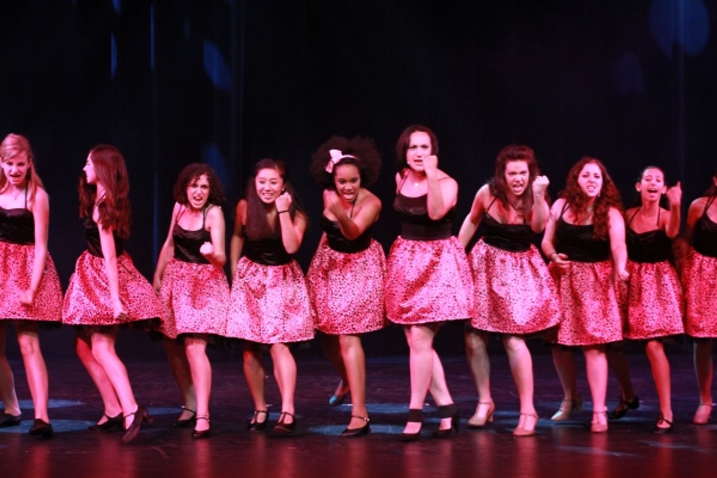 Photo Coverage: Broadway Dreams (BDF) Is the Real Deal!  Image