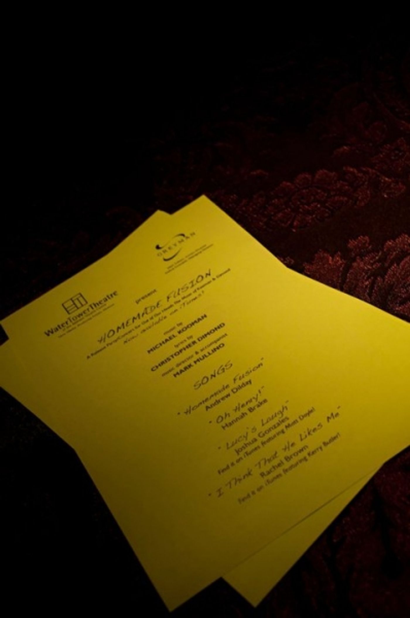 Photo Flash: Sneak Peek of WaterTower Theatre's HOMEMADE FUSION  Image