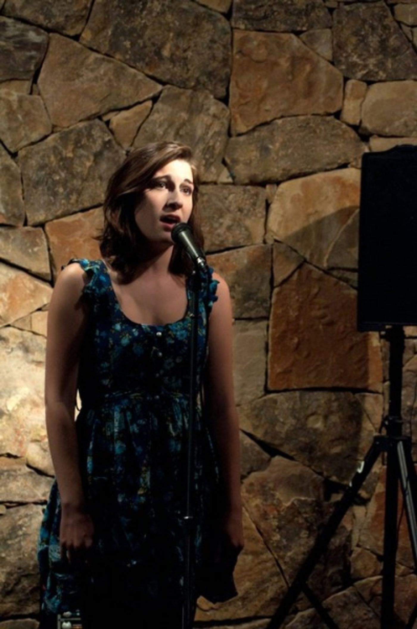 Photo Flash: Sneak Peek of WaterTower Theatre's HOMEMADE FUSION  Image